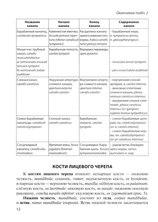 Дополнительное изображение книги «Клиническая анатомия черепа: Учебное пособие. 15-е изд., перераб. и доп»