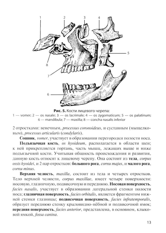 Дополнительное изображение книги «Клиническая анатомия черепа: Учебное пособие. 15-е изд., перераб. и доп»
