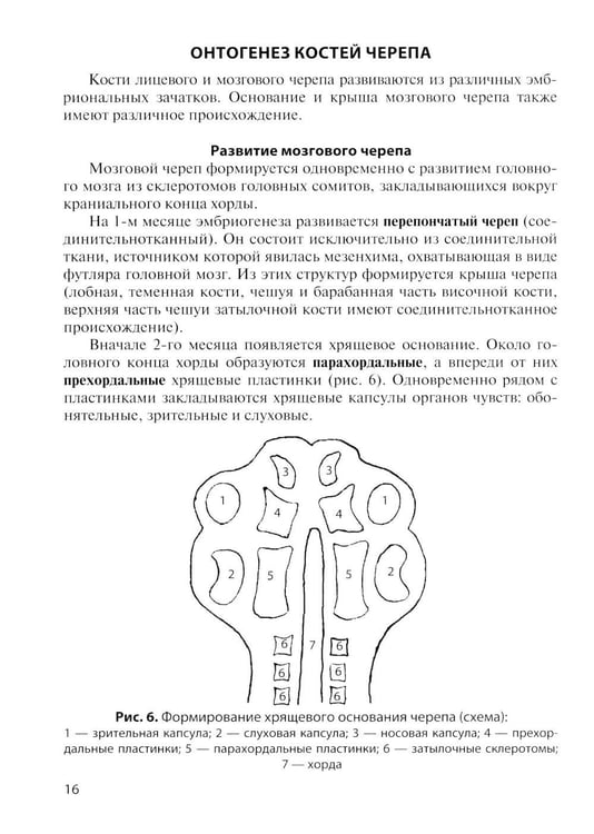 Дополнительное изображение книги «Клиническая анатомия черепа: Учебное пособие. 15-е изд., перераб. и доп»