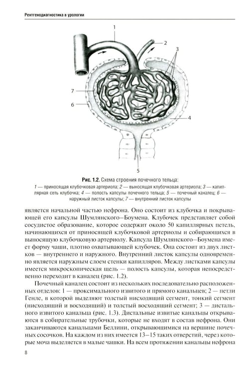 Дополнительное изображение книги «Рентгенодиагностика в урологии»