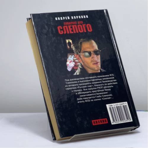 Дополнительное изображение книги «Лабиринт для Слепого»
