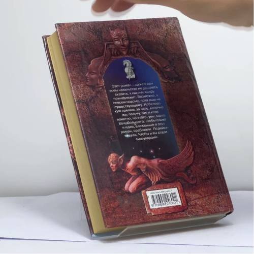 Дополнительное изображение книги «Я - сингуляр»