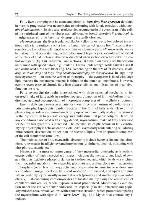 Дополнительное изображение книги «Pathological Anatomy = Патологическая анатомия: textbook. (книга на англ. яз)»