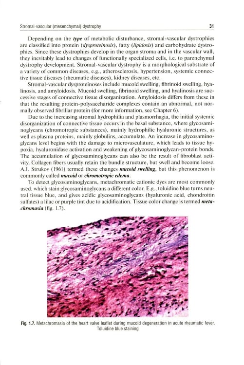 Дополнительное изображение книги «Pathological Anatomy = Патологическая анатомия: textbook. (книга на англ. яз)»