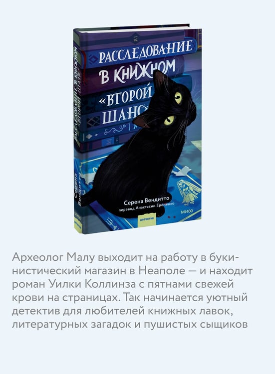 Дополнительное изображение книги «Расследование в книжном «Второй шанс»»