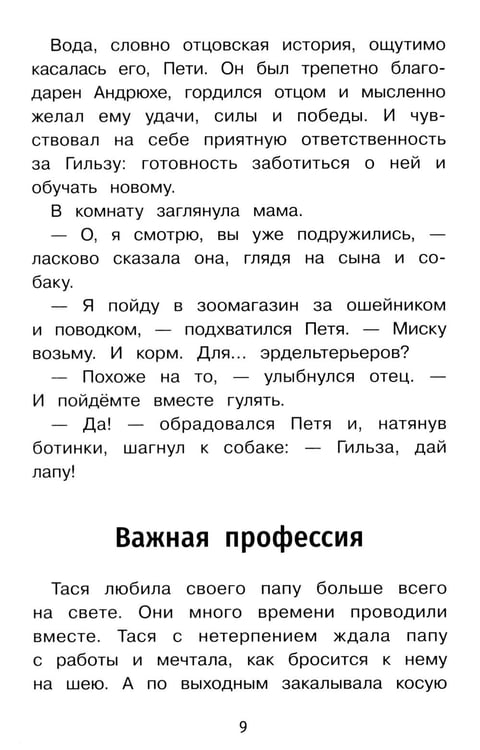 Дополнительное изображение книги «Важная профессия: рассказы»