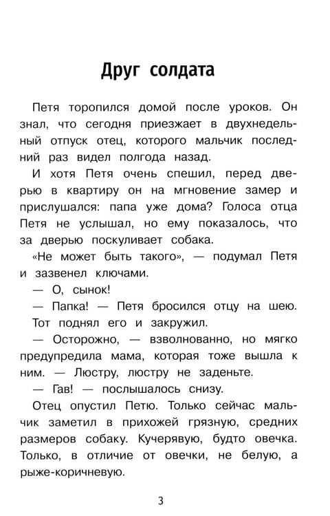 Дополнительное изображение книги «Важная профессия: рассказы»