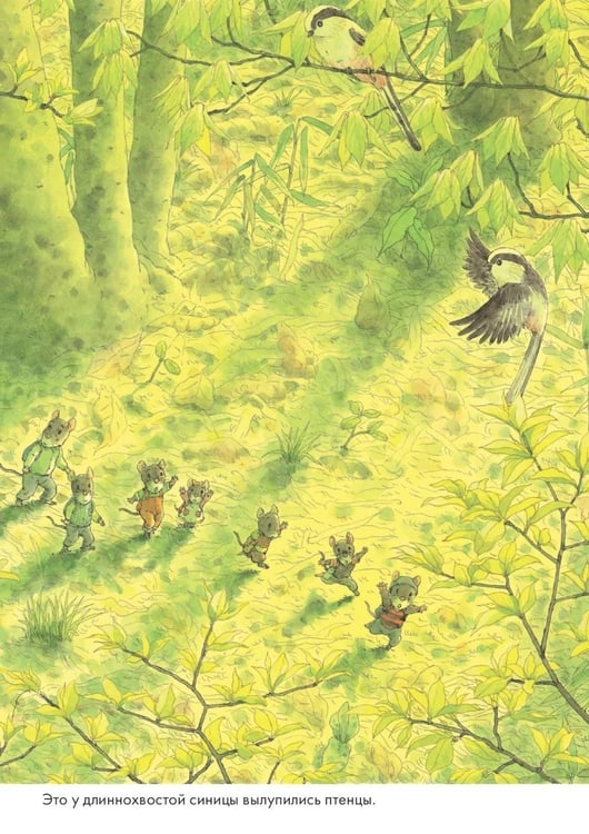 Дополнительное изображение книги «14 лесных мышей. Пикник»