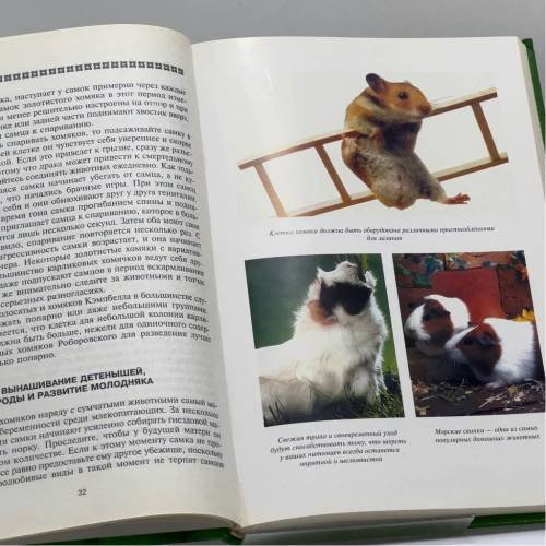Дополнительное изображение книги «Декоративные грызуны»