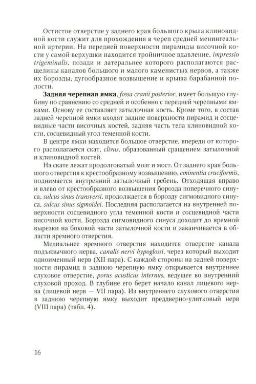 Дополнительное изображение книги «Функционально-клиническая анатомия зубочелюстной системы: Учебное пособие»