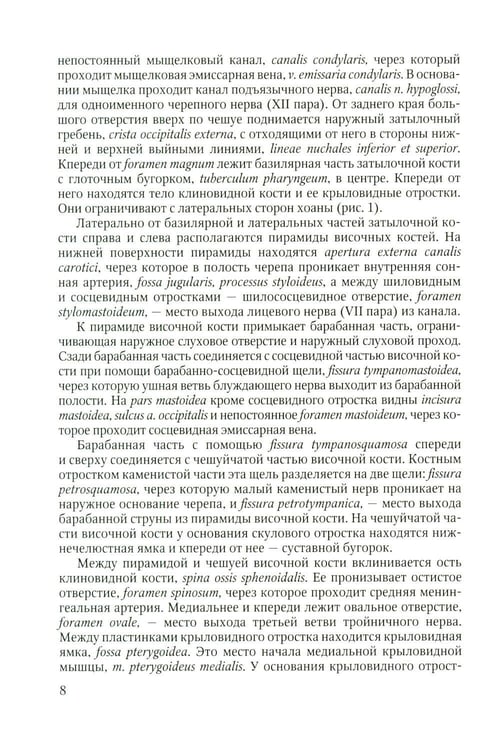 Дополнительное изображение книги «Функционально-клиническая анатомия зубочелюстной системы: Учебное пособие»