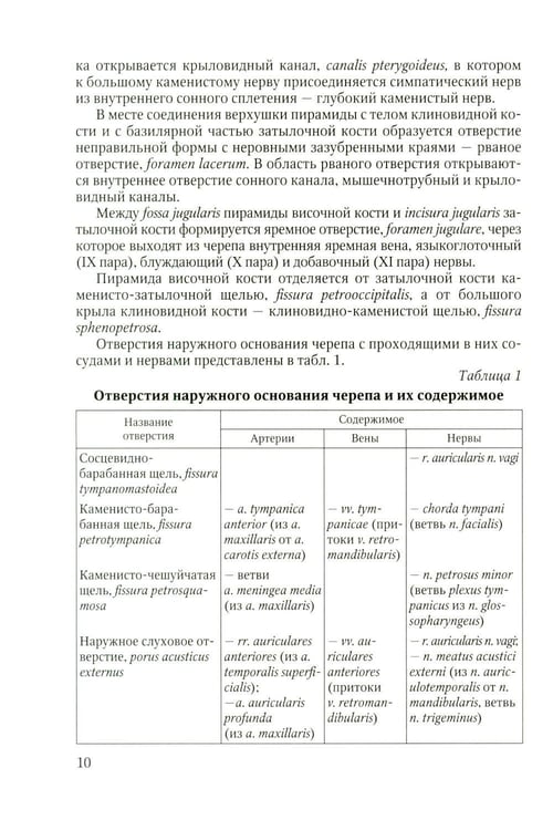 Дополнительное изображение книги «Функционально-клиническая анатомия зубочелюстной системы: Учебное пособие»