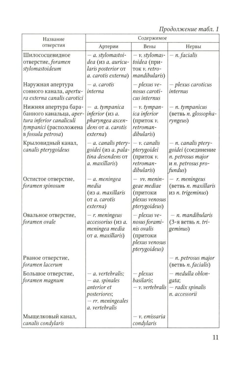 Дополнительное изображение книги «Функционально-клиническая анатомия зубочелюстной системы: Учебное пособие»