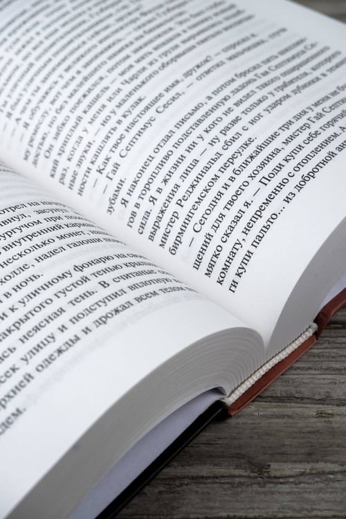 Дополнительное изображение книги «Друд, или Человек в черном»
