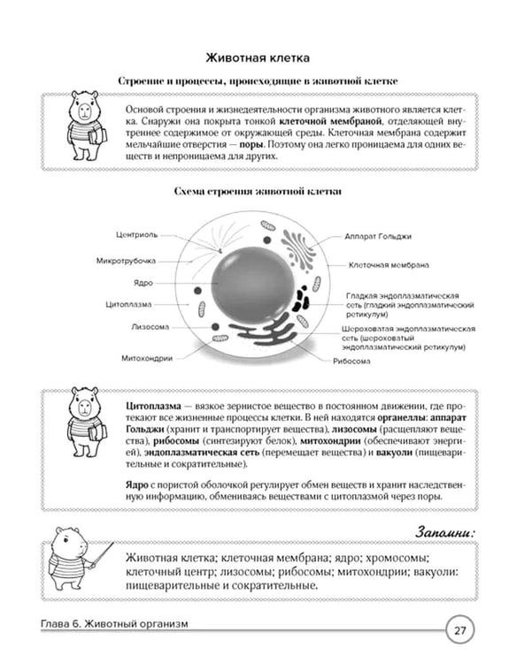 Дополнительное изображение книги «Биология в таблицах и комиксах»
