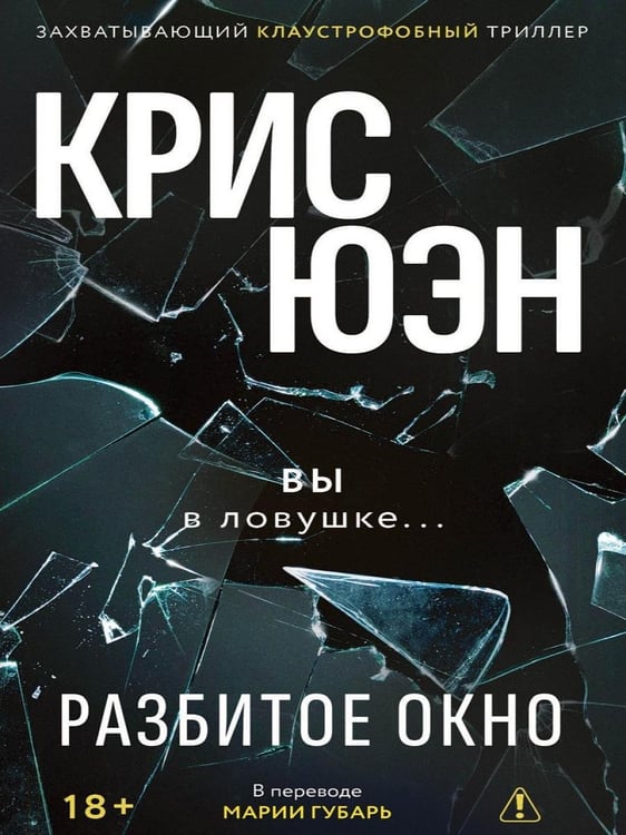 Дополнительное изображение книги «Разбитое окно»