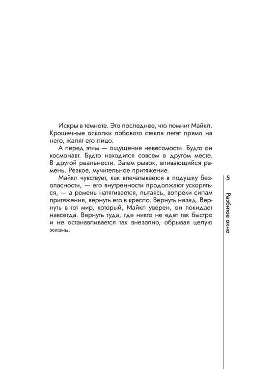Дополнительное изображение книги «Разбитое окно»