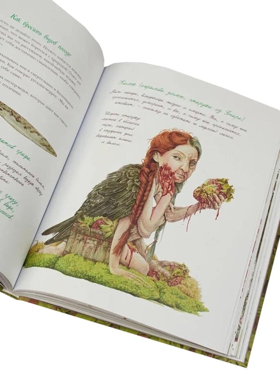 Дополнительное изображение книги «Гримуар фей. Волшебная книга растений и магических рецептов»