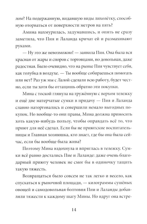 Дополнительное изображение книги «Амина и проклятый корабль»