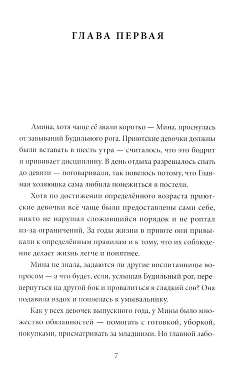 Дополнительное изображение книги «Амина и проклятый корабль»