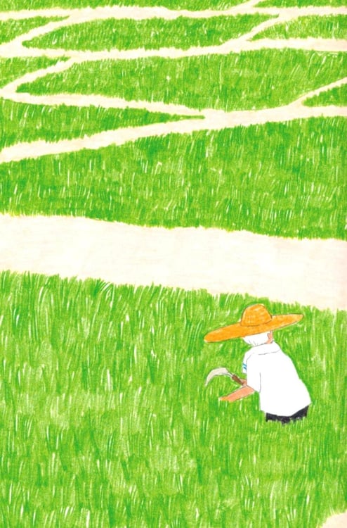 Дополнительное изображение книги «Арбузный бассейн»