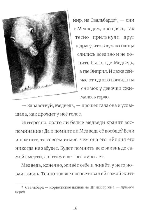 Дополнительное изображение книги «В поисках медведя»