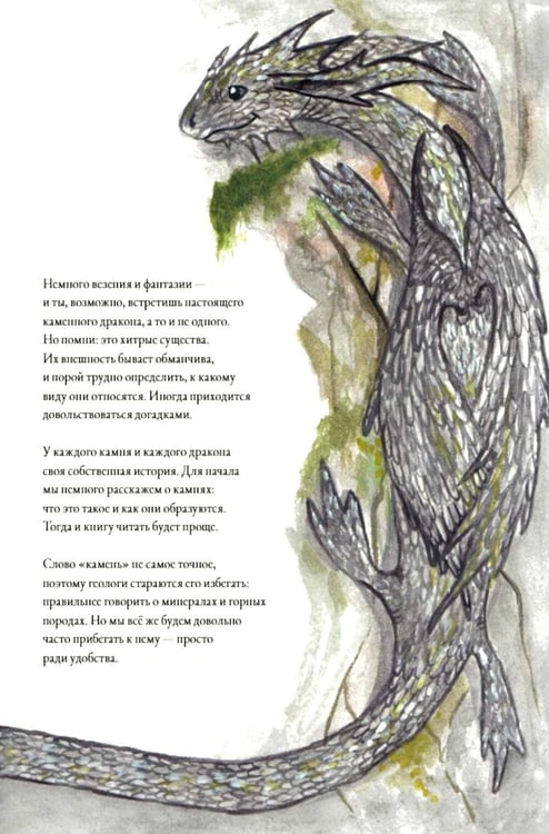 Дополнительное изображение книги «Каменные драконы.Книга о драконах, камнях и минералах»