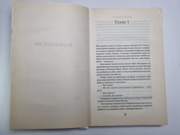 Дополнительное изображение книги «Норвежский лес»