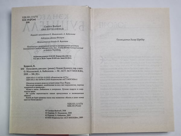 Дополнительное изображение книги «Пятая авеню, дом один»