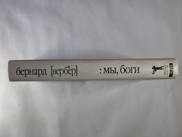 Дополнительное изображение книги «Мы, боги»