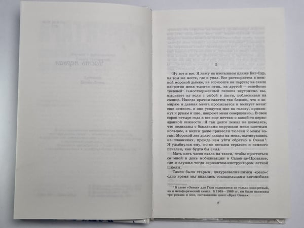 Дополнительное изображение книги «Обещание на рассвете»