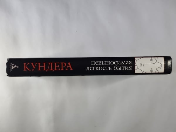 Дополнительное изображение книги «Невыносимая легкость бытия»