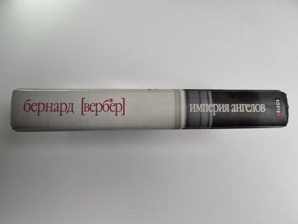 Дополнительное изображение книги «Империя ангелов»