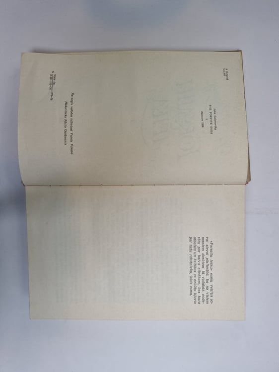 Дополнительное изображение книги «Forsaitu teika 1»