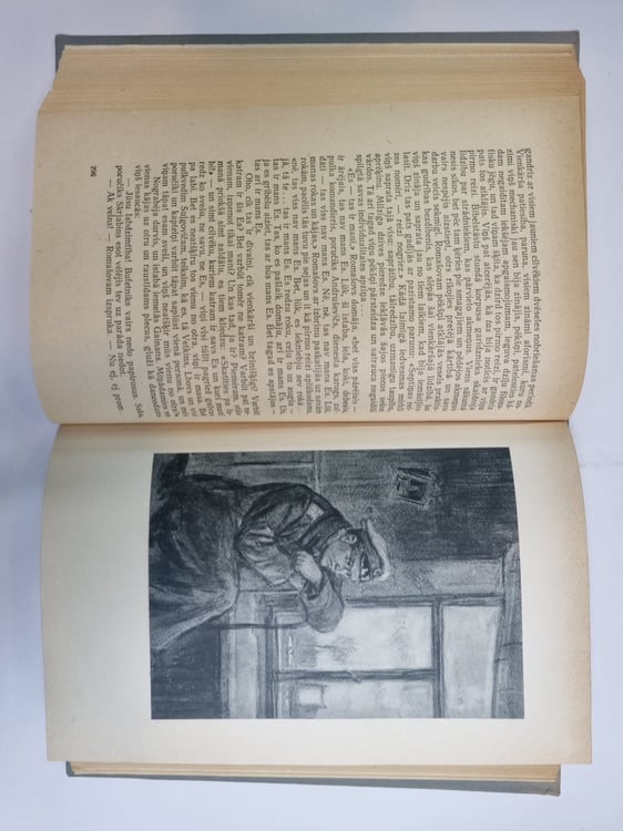 Дополнительное изображение книги «Izlase»