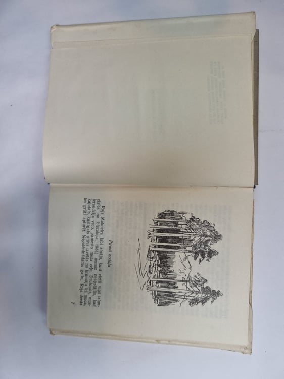 Дополнительное изображение книги «Mednieks»