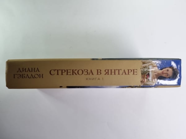 Дополнительное изображение книги «Стрекоза в янтаре. Книга 1. Разделенные веками»