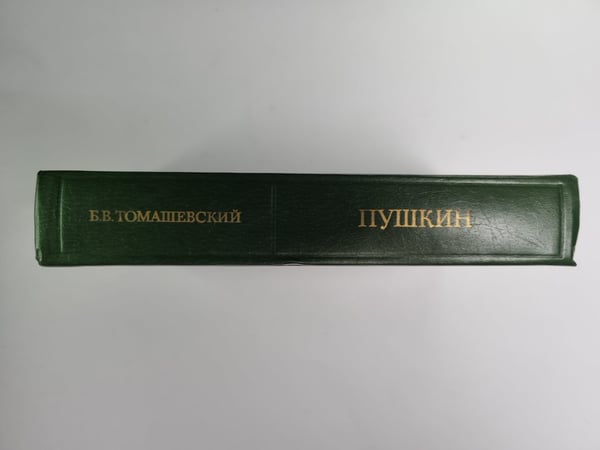 Дополнительное изображение книги «Пушкин: Работы разных лет»