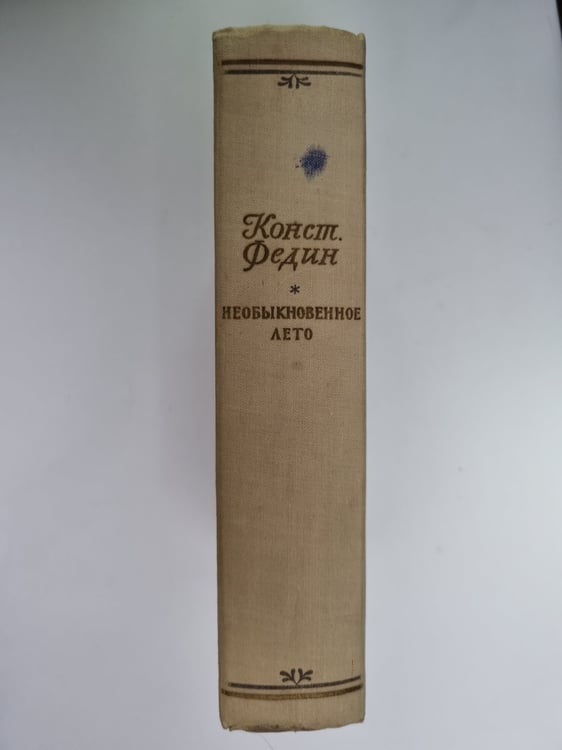 Дополнительное изображение книги «Необыкновенное лето»