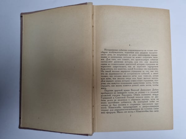 Дополнительное изображение книги «Необыкновенное лето»