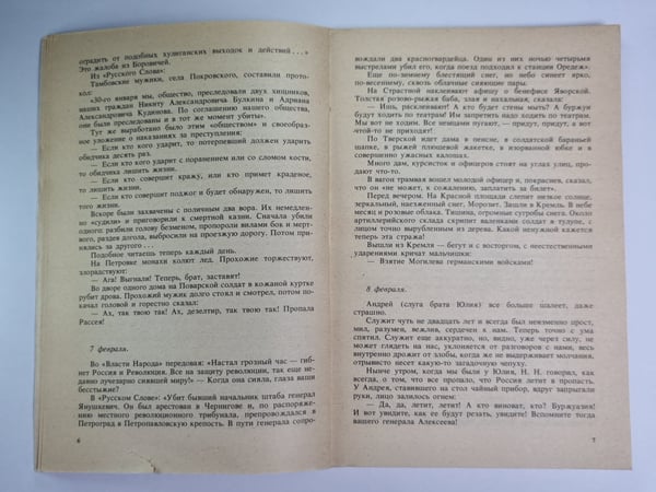 Дополнительное изображение книги «Окаянные дни. Под серпом и молотом»