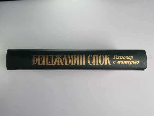 Дополнительное изображение книги «Разговоры с матерью»