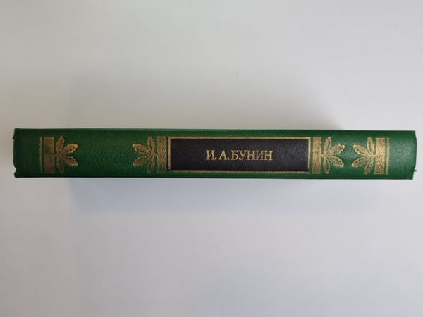Дополнительное изображение книги «Жизнь Арсеньева. Рассказы»