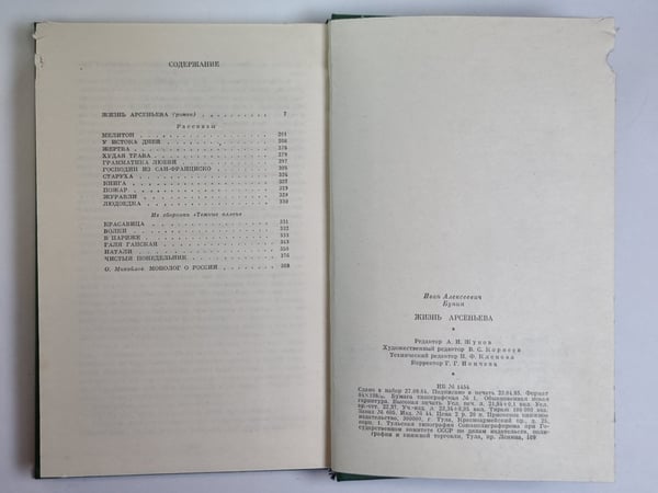 Дополнительное изображение книги «Жизнь Арсеньева. Рассказы»
