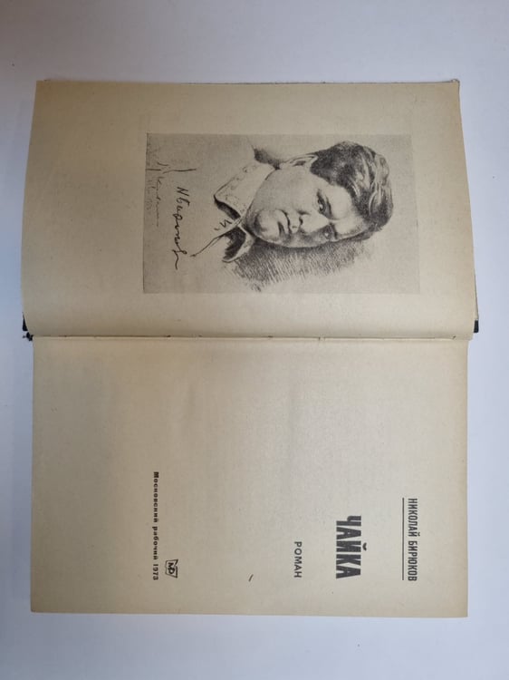 Дополнительное изображение книги «Чайка»