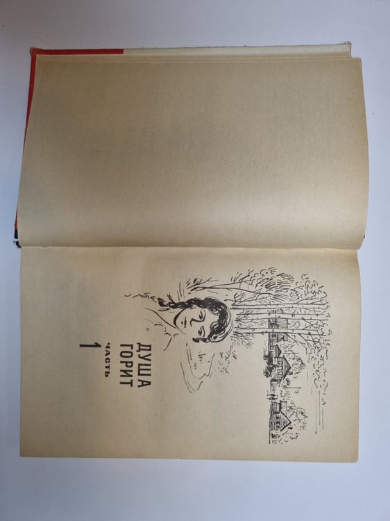 Дополнительное изображение книги «Чайка»