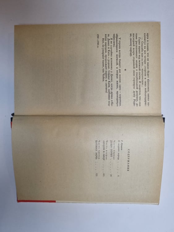 Дополнительное изображение книги «Чайка»