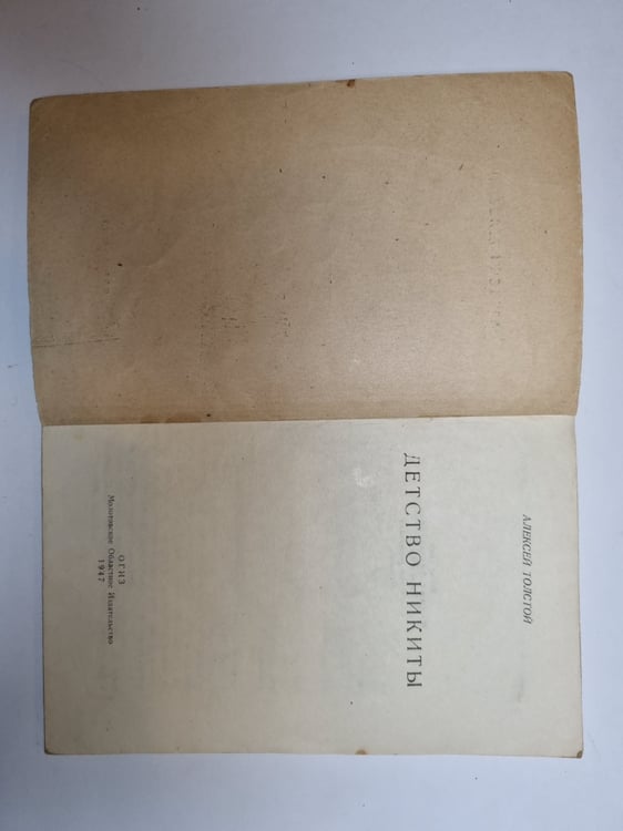 Дополнительное изображение книги «Детство Никиты»