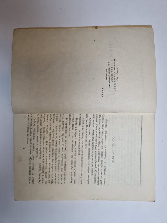 Дополнительное изображение книги «Детство Никиты»