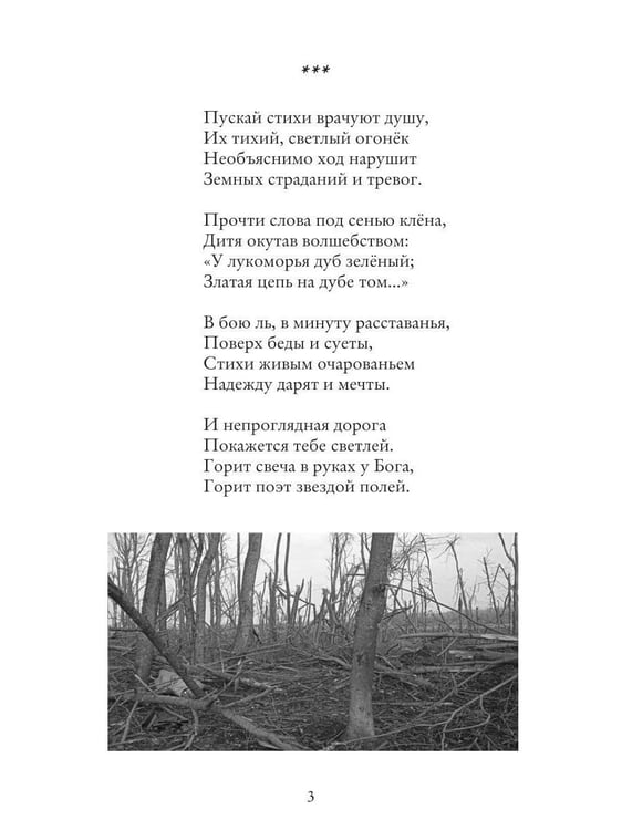 Дополнительное изображение книги «Пускай стихи врачуют душу...»